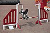 IMG_5401.JPG