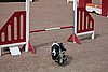 IMG_5402.JPG
