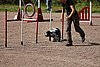 IMG_5406.JPG