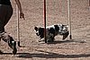 IMG_5409.JPG
