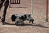IMG_5410.JPG