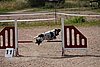 IMG_5411.JPG