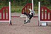 IMG_5414.JPG