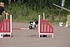 IMG_5419.JPG
