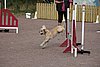 IMG_5421.JPG