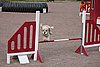 IMG_5428.JPG