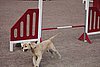 IMG_5429.JPG