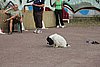 IMG_5432.JPG