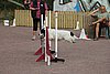 IMG_5434.JPG