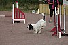 IMG_5435.JPG