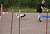 IMG_5445.JPG