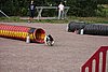 IMG_5447.JPG