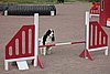 IMG_5450.JPG