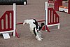 IMG_5451.JPG