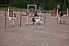 IMG_5454.JPG