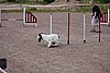 IMG_5458.JPG
