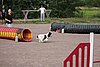 IMG_5466.JPG