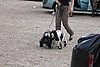 IMG_5469.JPG