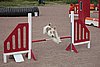 IMG_5473.JPG