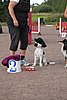 IMG_5479.JPG