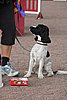 IMG_5482.JPG