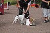 IMG_5489.JPG