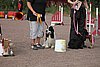 IMG_5490.JPG