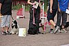 IMG_5491.JPG