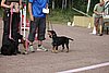IMG_5492.JPG