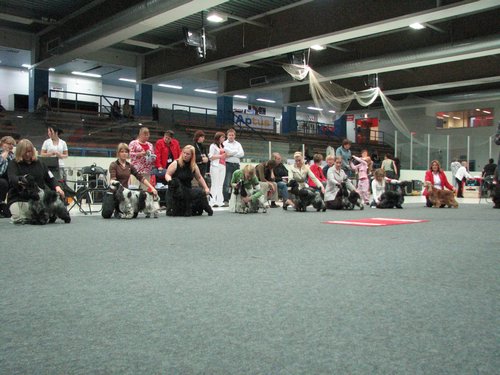 IMG_8557.JPG
