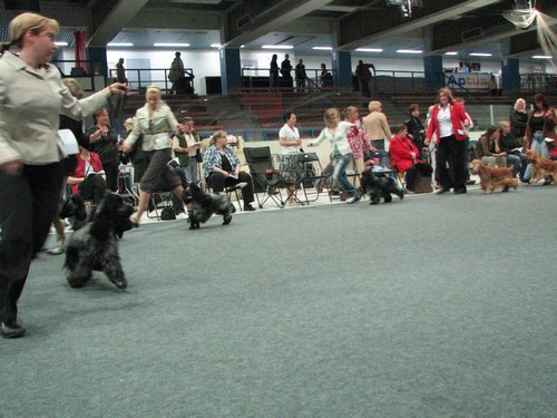 IMG_8564.JPG