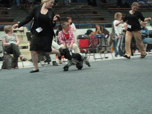 IMG_8579.JPG