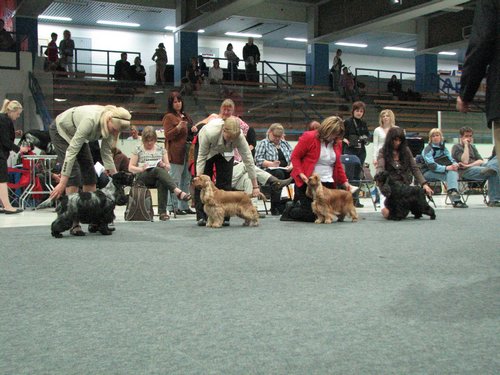 IMG_8590.JPG
