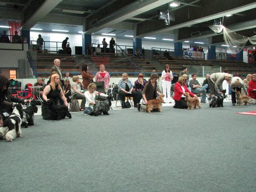 IMG_8594.JPG