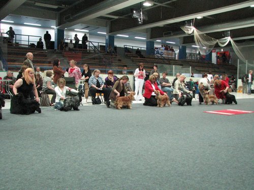 IMG_8595.JPG