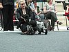 IMG_8578.JPG