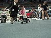IMG_8579.JPG