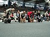 IMG_8584.JPG