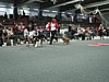 IMG_8599.JPG