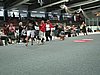 IMG_8600.JPG