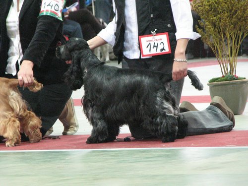 IMG_6074.JPG