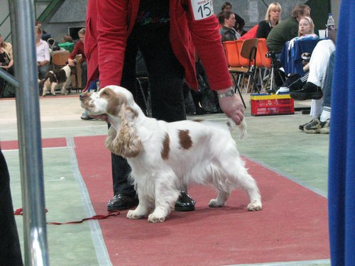 IMG_6096.JPG