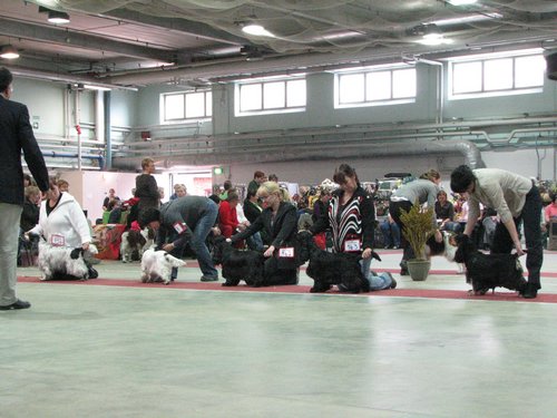 IMG_6109.JPG