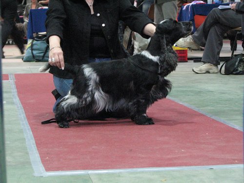 IMG_6142.JPG