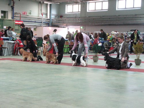 IMG_6153.JPG