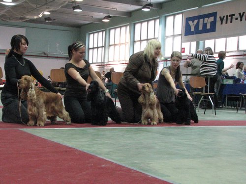 IMG_6173.JPG