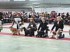 IMG_6046.JPG