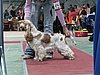 IMG_6057.JPG