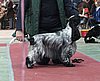 IMG_6058.JPG