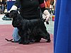 IMG_6066.JPG